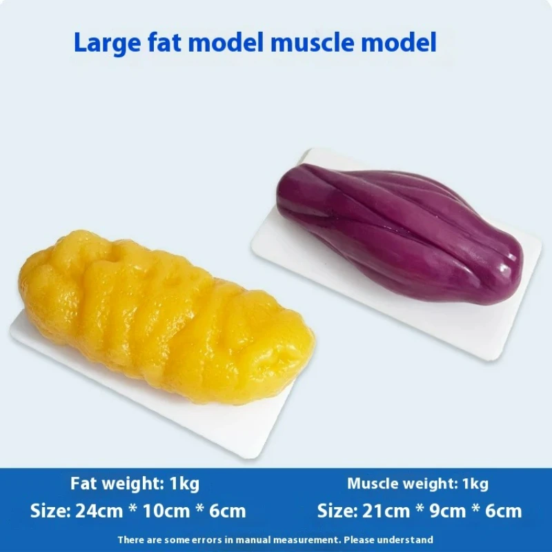 Réplicas de Músculos e Gordura - The Nutrition Fitness avaliação e preço
