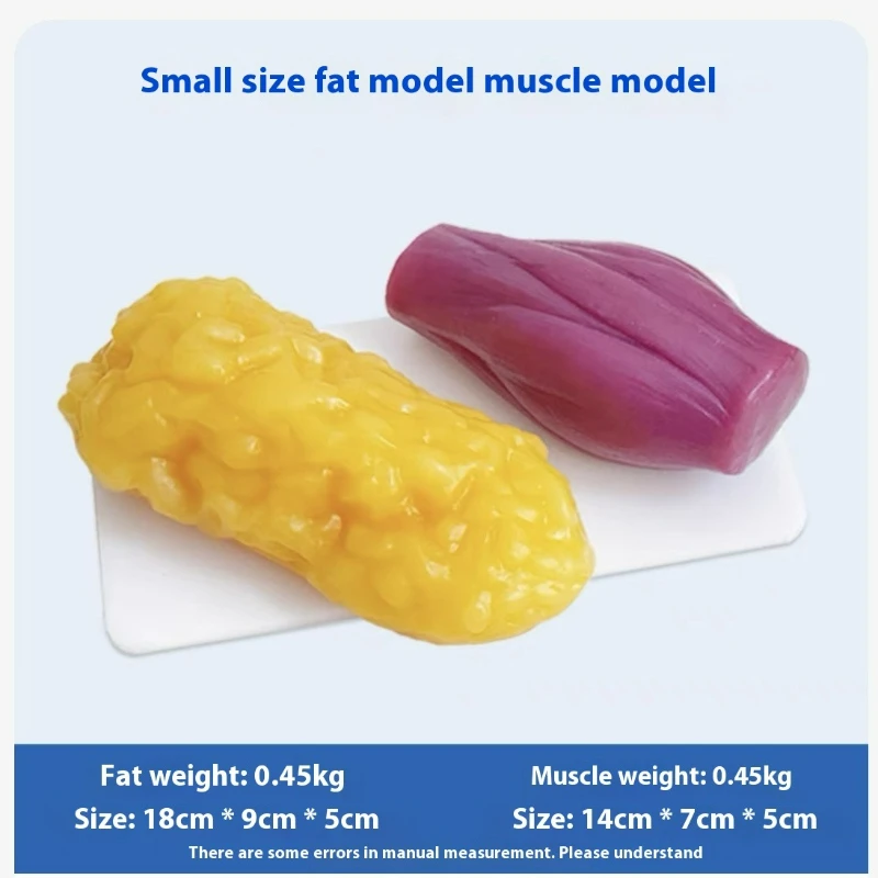 Réplicas de Músculos e Gordura - The Nutrition Fitness avaliação e preço
